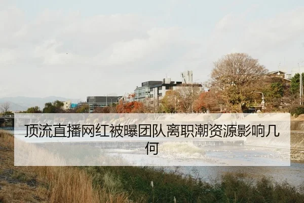 顶流直播网红被曝团队离职潮资源影响几何